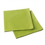 2 serviettes coloris mousse Garnier Thiebaut